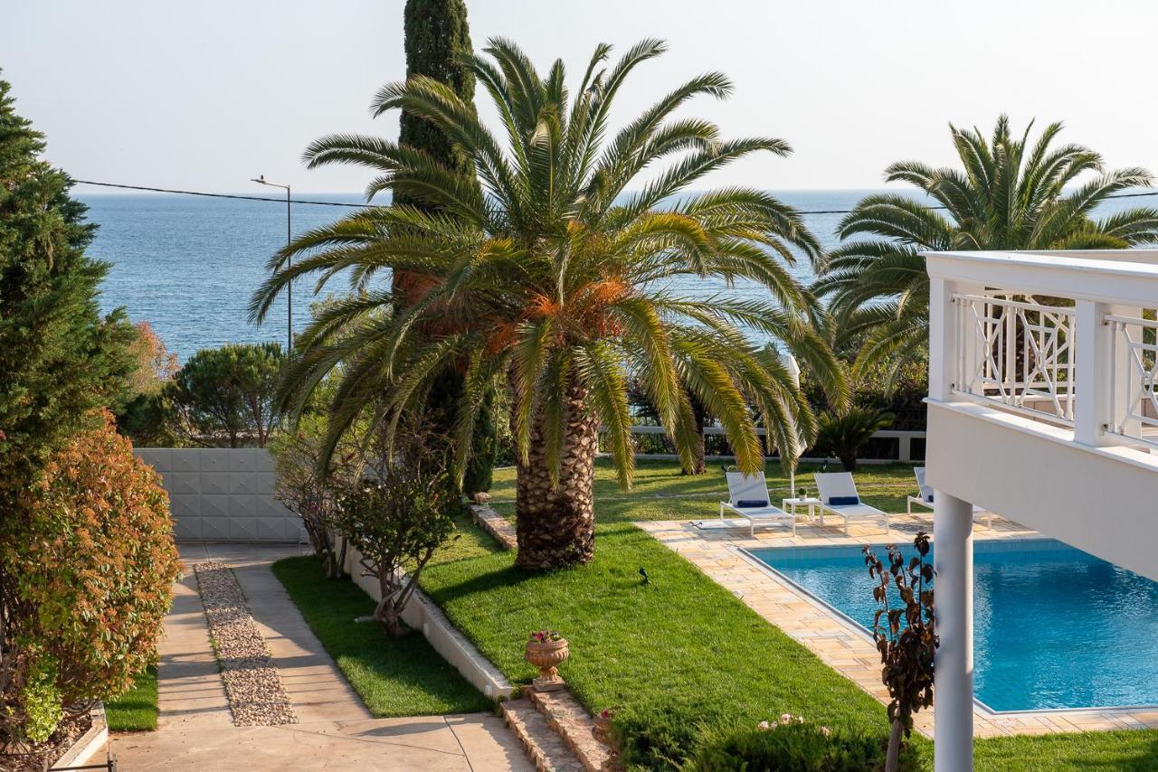 Villa Kamariyo Athens Riviera Palaiá Fókaia Exterior foto